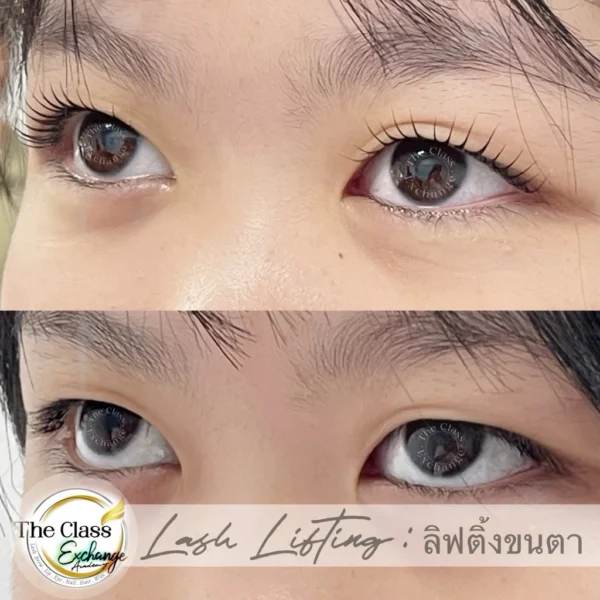 แกนลิฟติ้ง ซิลิโคน น้องหมี 9 คู่